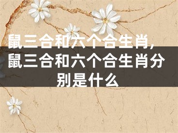 鼠三合和六个合生肖,鼠三合和六个合生肖分别是什么