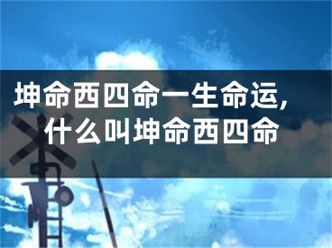 坤命西四命一生命运,什么叫坤命西四命