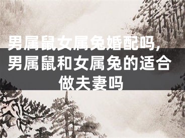 男属鼠女属兔婚配吗,男属鼠和女属兔的适合做夫妻吗