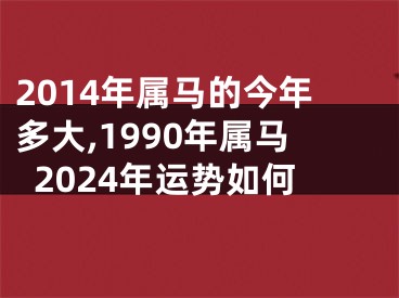 2014年属马的今年多大,1990年属马2024年运势如何