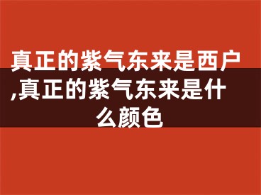 真正的紫气东来是西户,真正的紫气东来是什么颜色