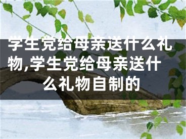 学生党给母亲送什么礼物,学生党给母亲送什么礼物自制的