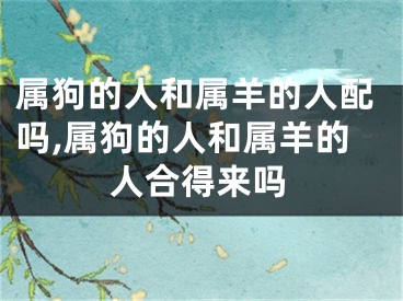 属狗的人和属羊的人配吗,属狗的人和属羊的人合得来吗