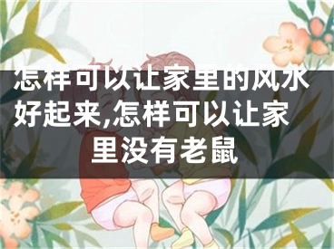 怎样可以让家里的风水好起来,怎样可以让家里没有老鼠