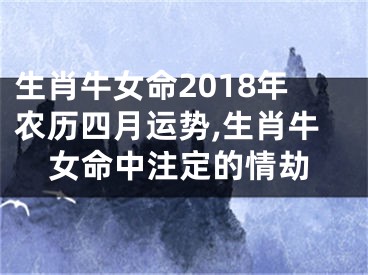 生肖牛女命2018年农历四月运势,生肖牛女命中注定的情劫