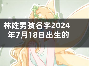 林姓男孩名字2024年7月18日出生的