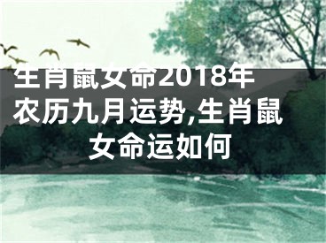 生肖鼠女命2018年农历九月运势,生肖鼠女命运如何