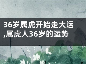 36岁属虎开始走大运,属虎人36岁的运势