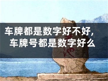 车牌都是数字好不好,车牌号都是数字好么