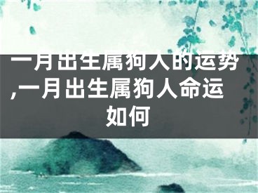 一月出生属狗人的运势,一月出生属狗人命运如何