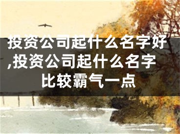 投资公司起什么名字好,投资公司起什么名字比较霸气一点