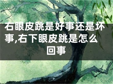 右眼皮跳是好事还是坏事,右下眼皮跳是怎么回事