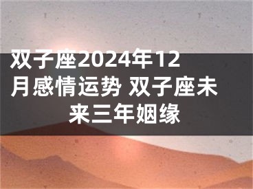 双子座2024年12月感情运势 双子座未来三年姻缘