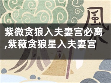 紫微贪狼入夫妻宫必离,紫薇贪狼星入夫妻宫