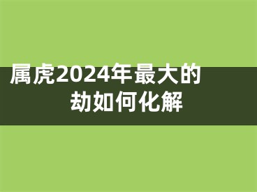 属虎2024年最大的劫如何化解