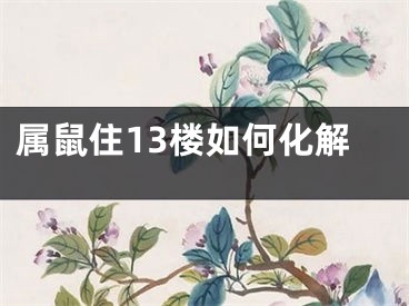 属鼠住13楼如何化解