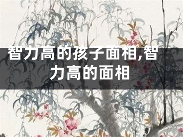 智力高的孩子面相,智力高的面相