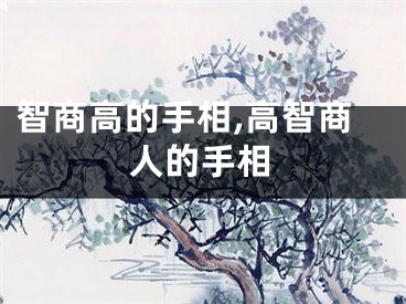 智商高的手相,高智商人的手相