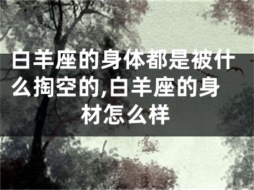 白羊座的身体都是被什么掏空的,白羊座的身材怎么样