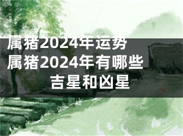 属猪2024年运势 属猪2024年有哪些吉星和凶星