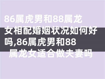 86属虎男和88属龙女相配婚姻状况如何好吗,86属虎男和88属龙女适合做夫妻吗
