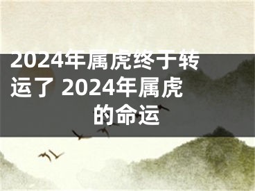 2024年属虎终于转运了 2024年属虎的命运