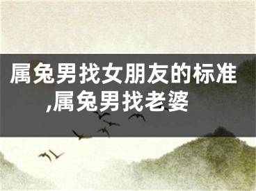 属兔男找女朋友的标准,属兔男找老婆