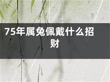 75年属兔佩戴什么招财