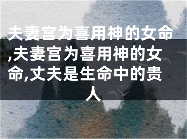 夫妻宫为喜用神的女命,夫妻宫为喜用神的女命,丈夫是生命中的贵人