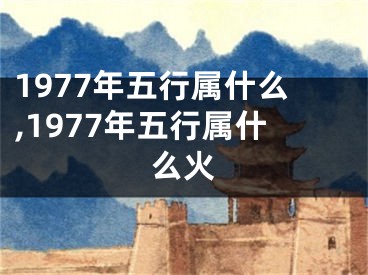 1977年五行属什么,1977年五行属什么火