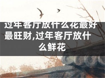 过年客厅放什么花最好最旺财,过年客厅放什么鲜花