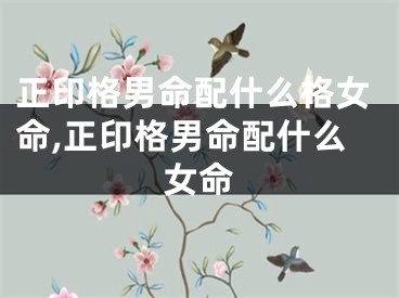 正印格男命配什么格女命,正印格男命配什么女命