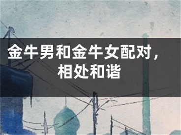 金牛男和金牛女配对，相处和谐