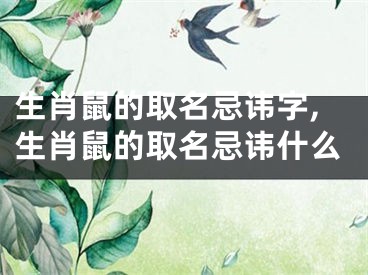 生肖鼠的取名忌讳字,生肖鼠的取名忌讳什么