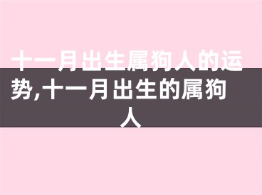 十一月出生属狗人的运势,十一月出生的属狗人