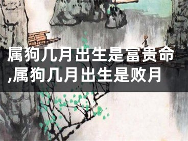属狗几月出生是富贵命,属狗几月出生是败月