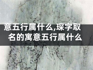 意五行属什么,琛字取名的寓意五行属什么