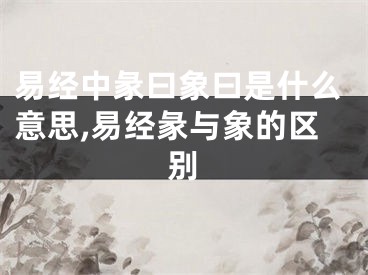 易经中彖曰象曰是什么意思,易经彖与象的区别