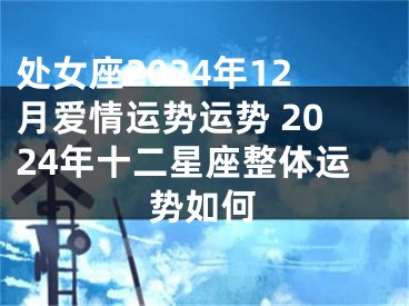 处女座2024年12月爱情运势运势 2024年十二星座整体运势如何
