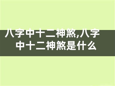 八字中十二神煞,八字中十二神煞是什么