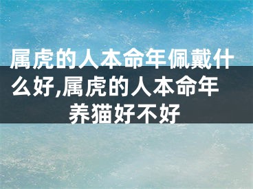 属虎的人本命年佩戴什么好,属虎的人本命年养猫好不好