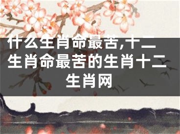 什么生肖命最苦,十二生肖命最苦的生肖十二生肖网