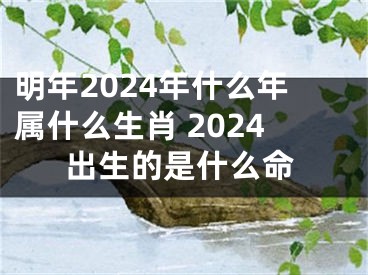 明年2024年什么年属什么生肖 2024出生的是什么命