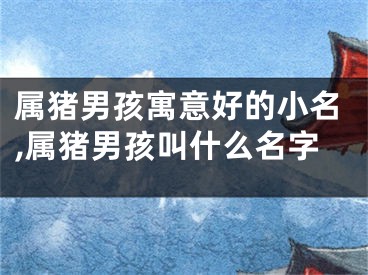 属猪男孩寓意好的小名,属猪男孩叫什么名字