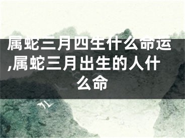 属蛇三月四生什么命运,属蛇三月出生的人什么命