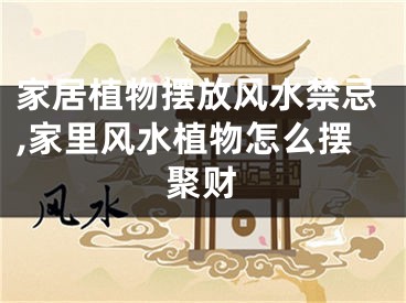 家居植物摆放风水禁忌,家里风水植物怎么摆聚财