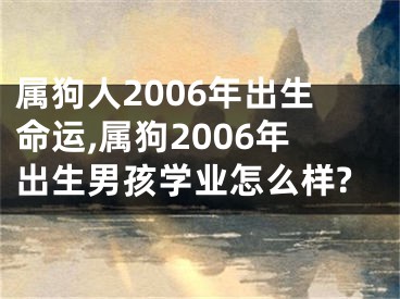 属狗人2006年出生命运,属狗2006年出生男孩学业怎么样?