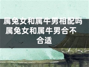 属兔女和属牛男相配吗 属兔女和属牛男合不合适