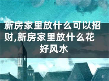新房家里放什么可以招财,新房家里放什么花好风水