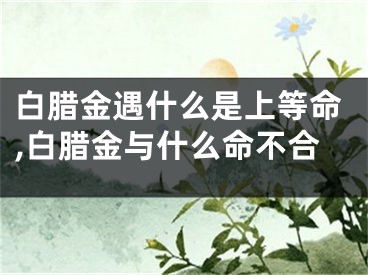 白腊金遇什么是上等命,白腊金与什么命不合